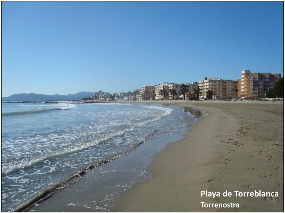 Pinyana * Torreblanca